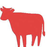 meadowgolddairy