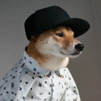 mensweardog