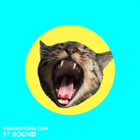 meowparlour