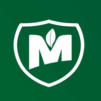 mestre_marceneiro
