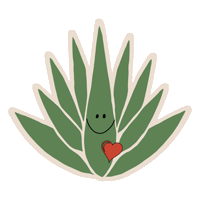 mezcalrosaluna