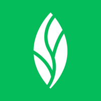 mintdentistry