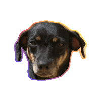 moniqueparra