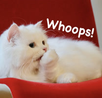 moongchi_cat