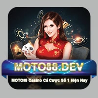 moto88dev