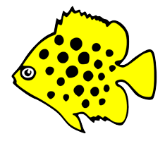 mundoacuariofilo