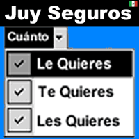 mxjuyseguros