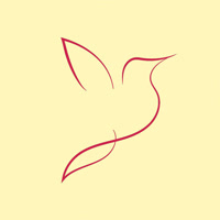 myparwaz