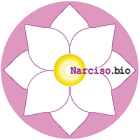 narciso_bio