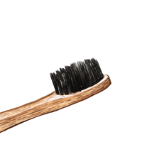 natboobrush