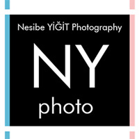 nesibeyigit
