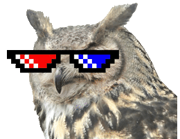 nfviverzlo