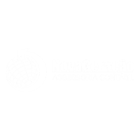 novageracaocontabilidade