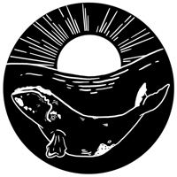 nprightwhale