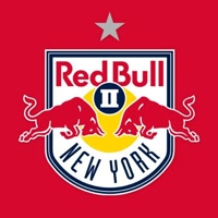 nyrbii