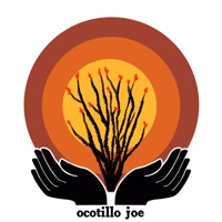 ocotillojoe