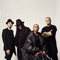 officialskunkanansie