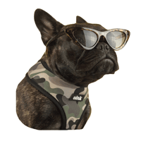 oinkpetsupply