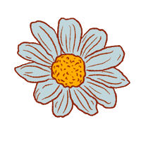 olinkajaimesa