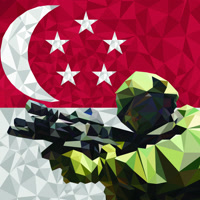 oursingaporearmy