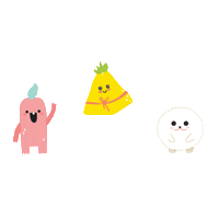 paddycases