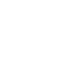 pallerospace