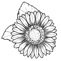 panisketches