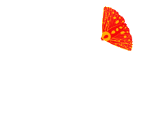 papillonsdenuit