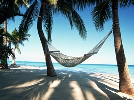 paradise-found-around