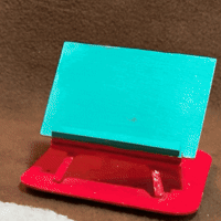 parrotletpost