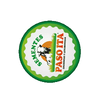 pasoita