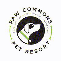 pawcommons