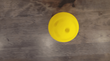 pickleballrookie