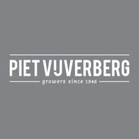pietvijverberg