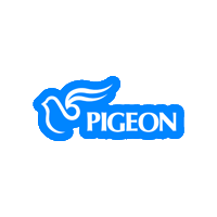 pigeonkorea