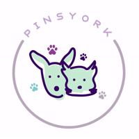 pinsyork