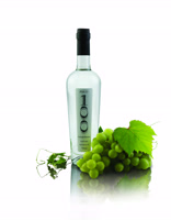 pisco100