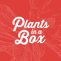 plantsinabox