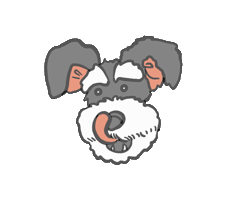 pokidogi