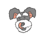 pokidogi