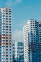 prestigepineforest