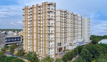 prestigepineforestt