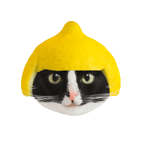 princesscheeto