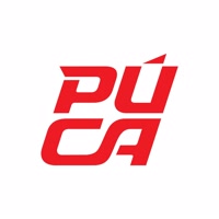 pucashoes