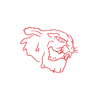 pumafootball