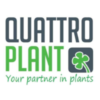 quattroplant