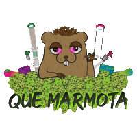 quemarmotaoficial
