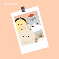rabbit_bori