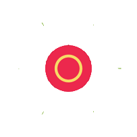 radiorottu