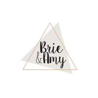realtorsbrieandamy